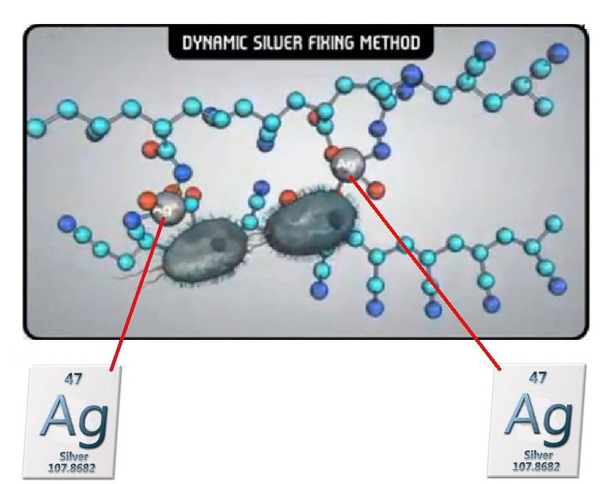 Anti-bakteriális hatás